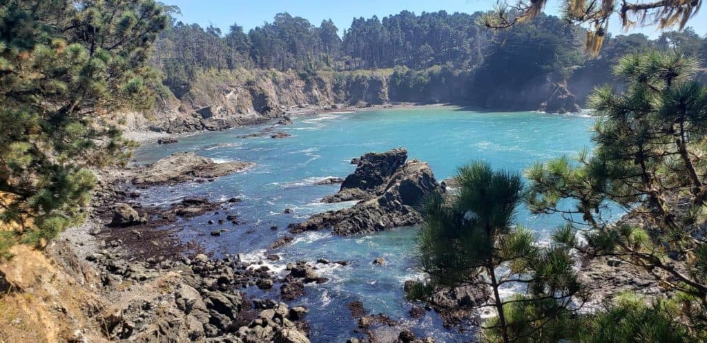 mendocino headlands view of the coast