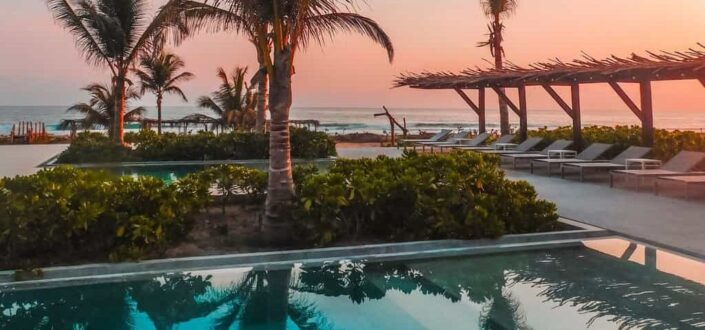 Palm Tree Near Pool During Sunset