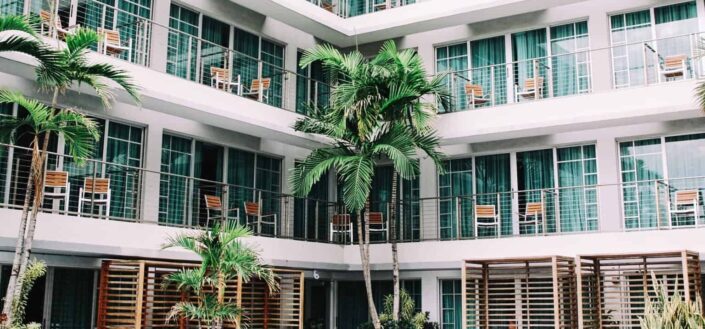 Coconut Palm Trees in Hotel Lobby